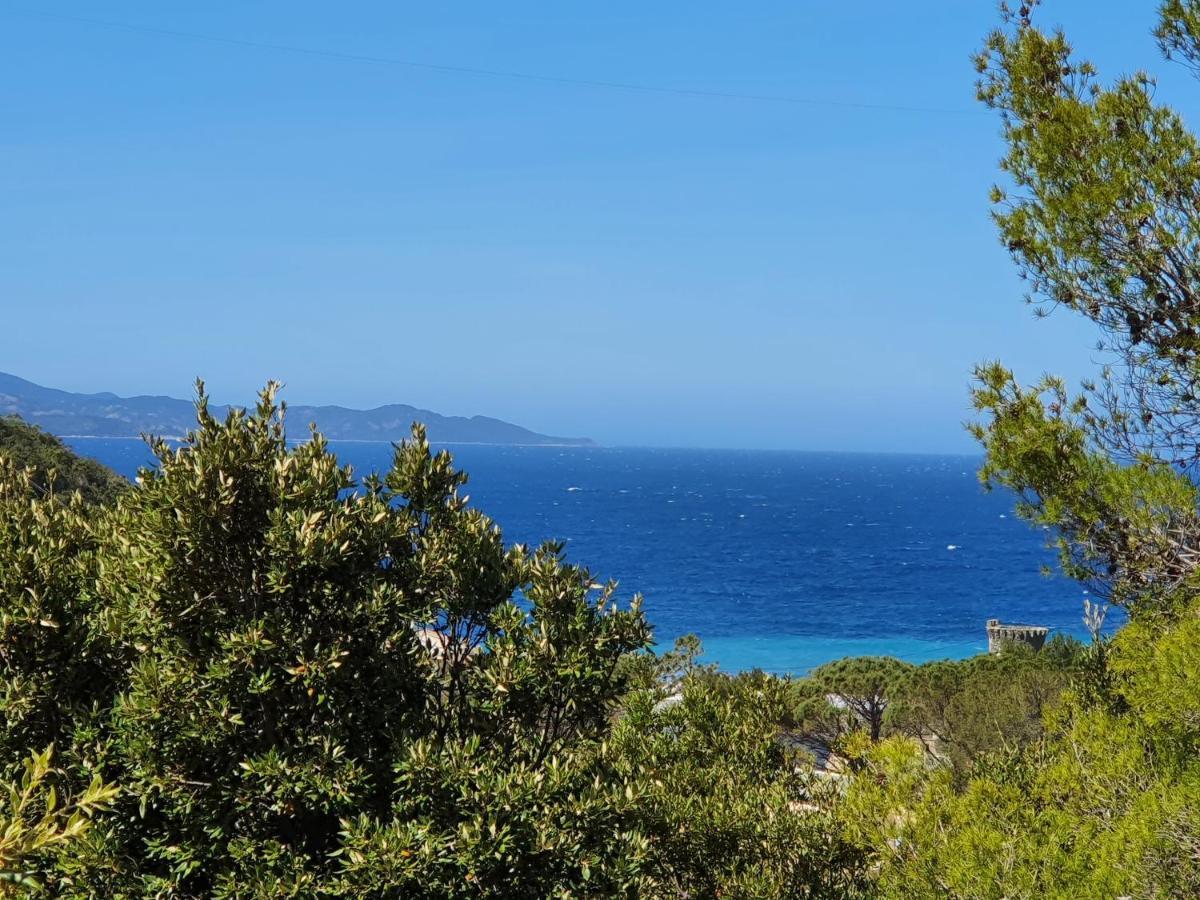 Les Gites Du Cap Corse Нонца Экстерьер фото