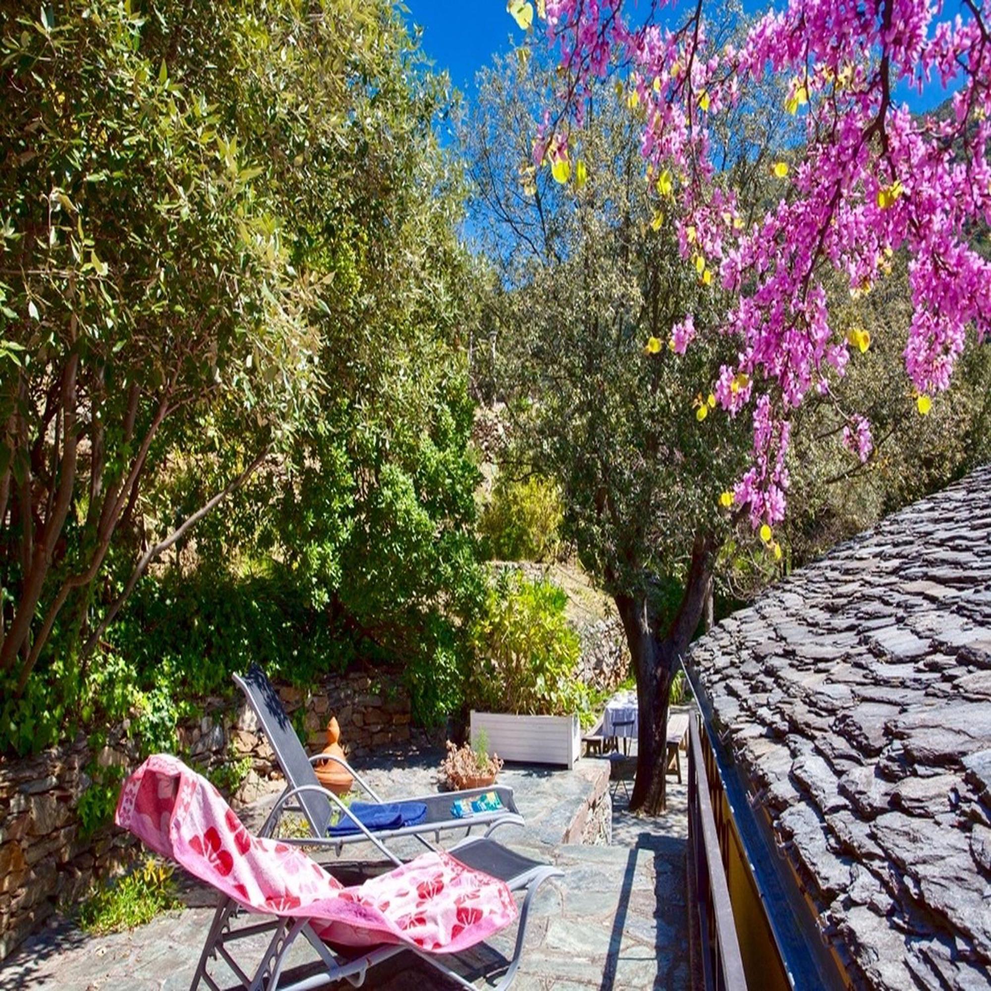 Les Gites Du Cap Corse Нонца Экстерьер фото