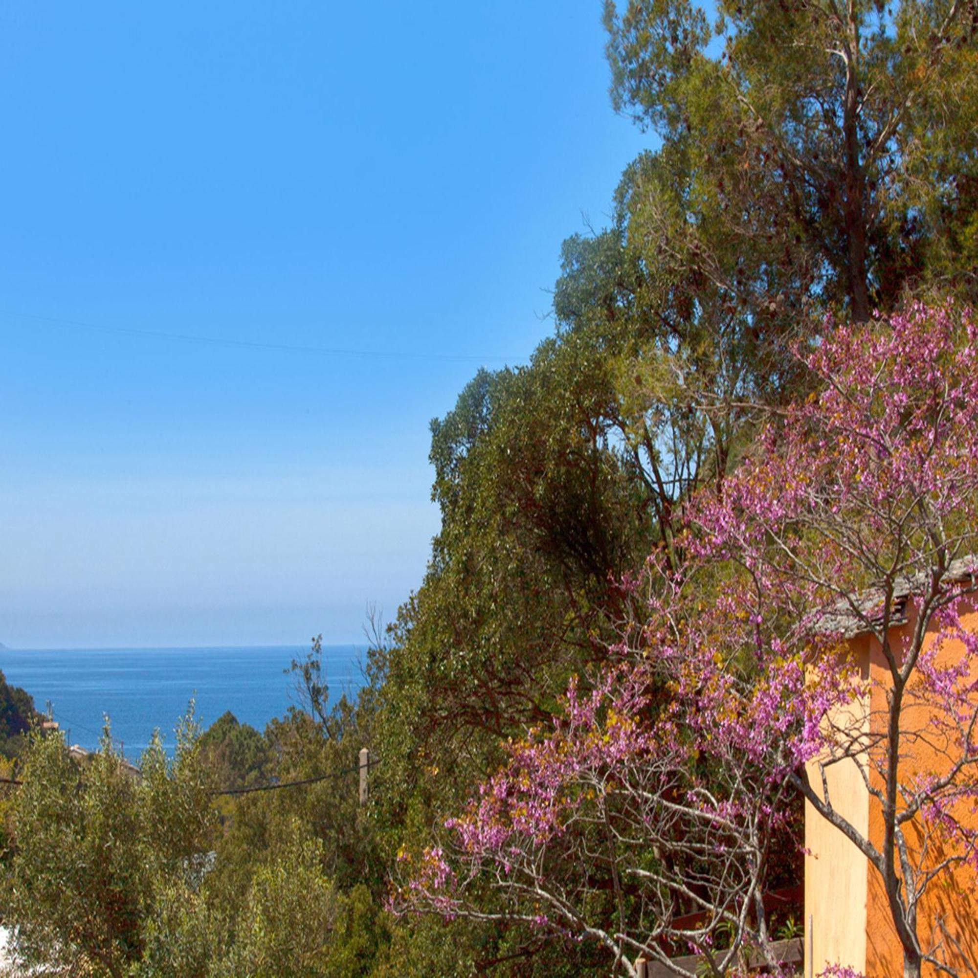 Les Gites Du Cap Corse Нонца Номер фото